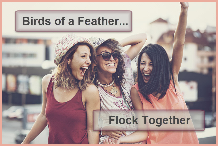 birds-of-a-feather-2-1.jpg